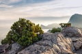 Rocks, sea, sky, clouds, juniper Bush on the cliff