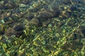 Rocks on the seabed can be seen through the crystal clear seawater Royalty Free Stock Photo