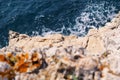 Rocks at seashore of Adriatic sea, Mediterranean, closeup. Aerial top view of sea waves hitting rocks on the beach. Royalty Free Stock Photo