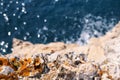 Rocks at seashore of Adriatic sea, Mediterranean, closeup. Aerial top view of sea waves hitting rocks on the beach. Royalty Free Stock Photo