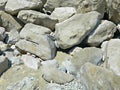 Rocks on the seashore