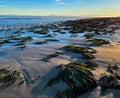 Rocks and seaweed on the Beach