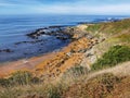 Rocks, seaweed and grass vegetated slopes of the Katiki Point beach in the Otago region of the South Island of New Zealand Royalty Free Stock Photo