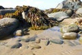 Rocks and seaweed on Welsh beach