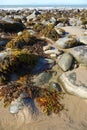 Rocks and seaweed on Welsh beach