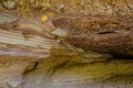 Rocks of Serra da Capivara, Piaui, Brazil Royalty Free Stock Photo