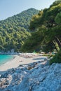 Rocks in a shade of a pine trees at morning, Kastani Mamma Mia beach, island of Skopelos