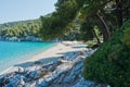 Rocks in a shade of a pine trees at morning, Kastani Mamma Mia beach, island of Skopelos