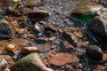 Rocks in shallow water