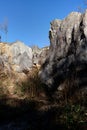 Grass rocks landscape Fondry des Chiens, Nismes, Viroinval, Belgium Royalty Free Stock Photo