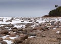 Rocks and snow ant the seashore