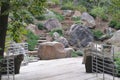 Rocks and Stairs
