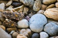 Rocks, Stones and Minerals Royalty Free Stock Photo