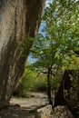 Rocks, stones and trees of the Valley of the Ghosts