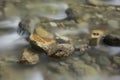 Rocks in a stream Royalty Free Stock Photo