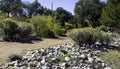 Rocks Strewn Throughout the Park