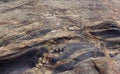 Rocks texture