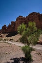 Rocks and the tree in the Charyn Canyon in Kazakhstan Royalty Free Stock Photo