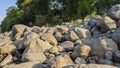 Rocks and trees along the Progo river Royalty Free Stock Photo