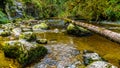 Rocks, trees and boulders in the Salmon habitat of the fast flowing Kanaka Creek Royalty Free Stock Photo