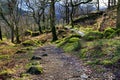 Rocks and trees covered in moss strewn along the Watkins Path Snondon