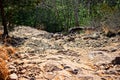 Rocks and trees of an outdoor hike on a clear day