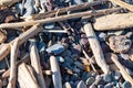 Rocks, twigs and driftwood, close up, on a rocky beach, in selective focus Royalty Free Stock Photo