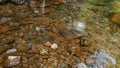 Rocks under water in the river near forest Royalty Free Stock Photo