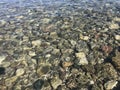 Rocks under water Royalty Free Stock Photo