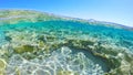 Rocks underwater in Sardinia Royalty Free Stock Photo