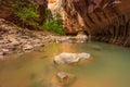 Rocks in the Virgin River Narrows in Zion National Park. Royalty Free Stock Photo