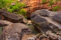 Rocks in the Virgin River Narrows in Zion National Park. Royalty Free Stock Photo