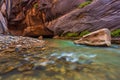 Rocks in the Virgin River Narrows in Zion National Park. Royalty Free Stock Photo