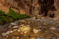 Rocks in the Virgin River Narrows in Zion National Park. Royalty Free Stock Photo