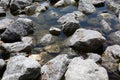 Rocks in Water Close UP Background