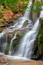 Rocks in waterfall stream. beautiful nature scenery in forest. cascade of rapid mountain river Royalty Free Stock Photo