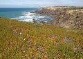 Rocks at the West coast, Algarve -Portugal Royalty Free Stock Photo