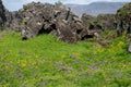 Rocks and wildflowers in Icelands Golden Circle Royalty Free Stock Photo
