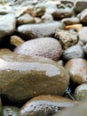 rocks in the yard