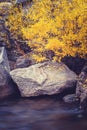 Rocks and yellow trees along a river running beside it Royalty Free Stock Photo