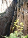 Rockscape in gorge in El Chorro