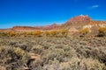 Mount Kinesava in Zion National Park above Fall Foliage on the Road to Grafton Utah. Royalty Free Stock Photo
