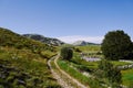 Rocky alpine road among grasses, bushes and greenery Royalty Free Stock Photo