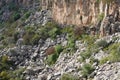 Rocky area with landslides