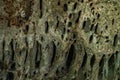 Rocky area of natural caves in the Colombian Amazon