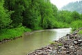 A rocky bank of a calm river flowing through the forest in the rain, the tops of which are in fog Royalty Free Stock Photo