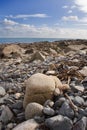 Rocky beach