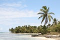 A rocky beach in the Bahamas