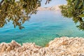 Rocky beach with bushes and tree branches and crystal clear blue