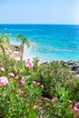 Rocky beach and crystal turquoise water of Ionian Sea in Albania. Calm and relaxing view